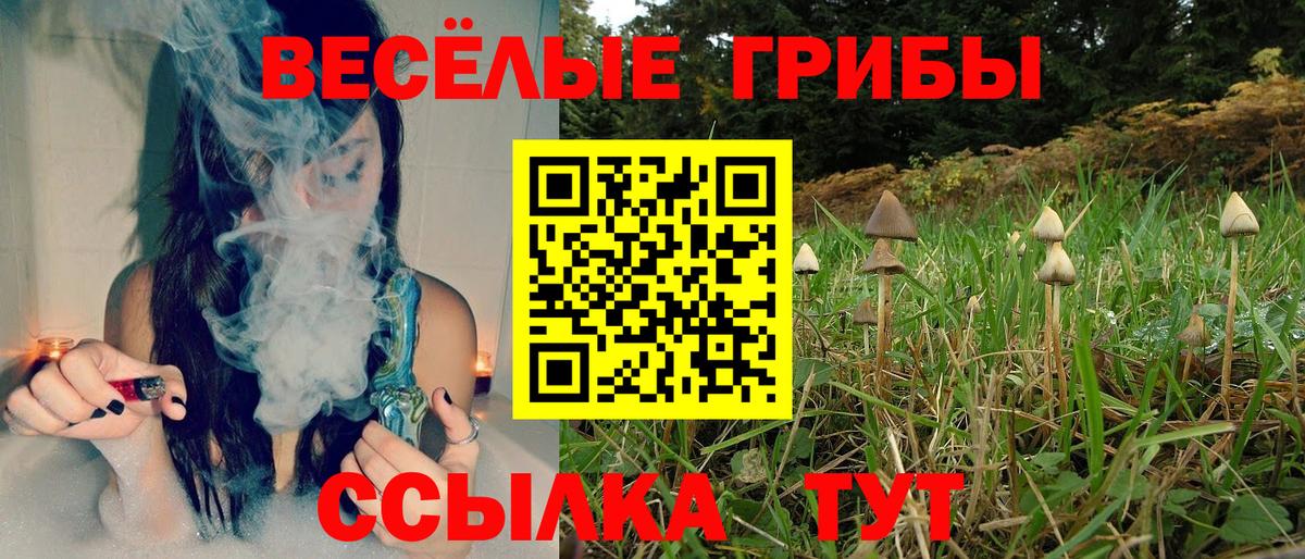 Галлюциногенные грибы Psilocybine cubensis  Вход с VPN  Мелеуз  Псилоцибиновые грибы мухоморы 